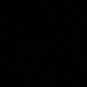 Meet your Posher, Travon